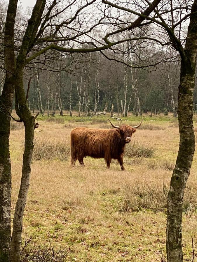 Herberg De Pas Haarle Zewnętrze zdjęcie
